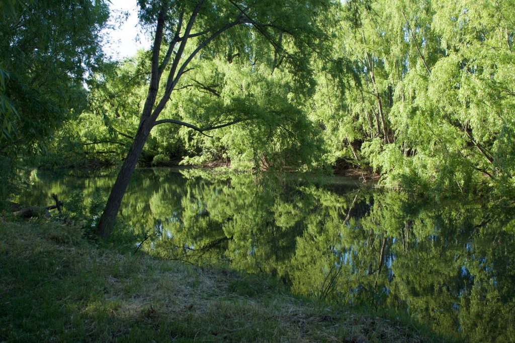 La quietud antes de la tormenta